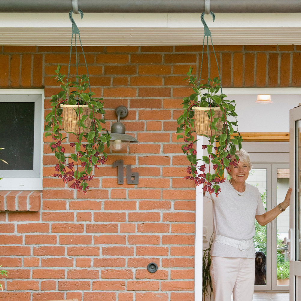 5Pcs Hanging Planter Hooks Set - Spider Plant Hanging 评论和价格