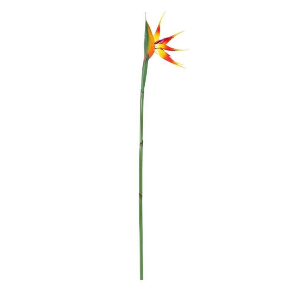 Long Stem Artificial Bird of P - Bird Paradise Strelitzia 评论和价格