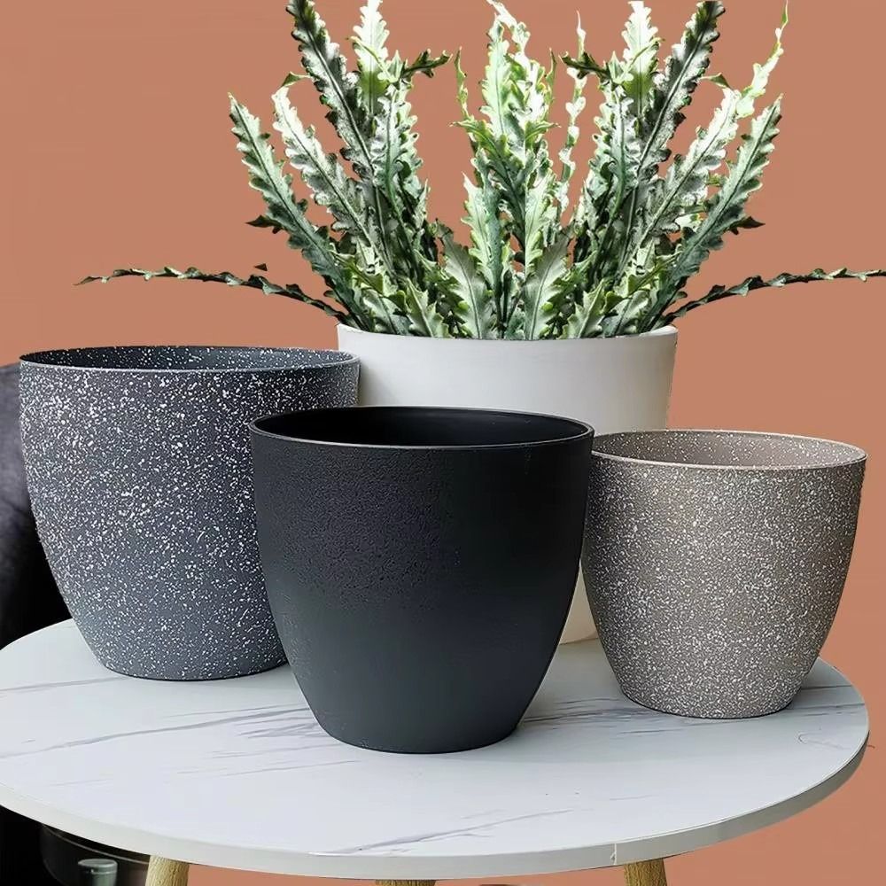 Frosted Imitation Stone Bonsai - Aloe Vera Pot 评论和价格
