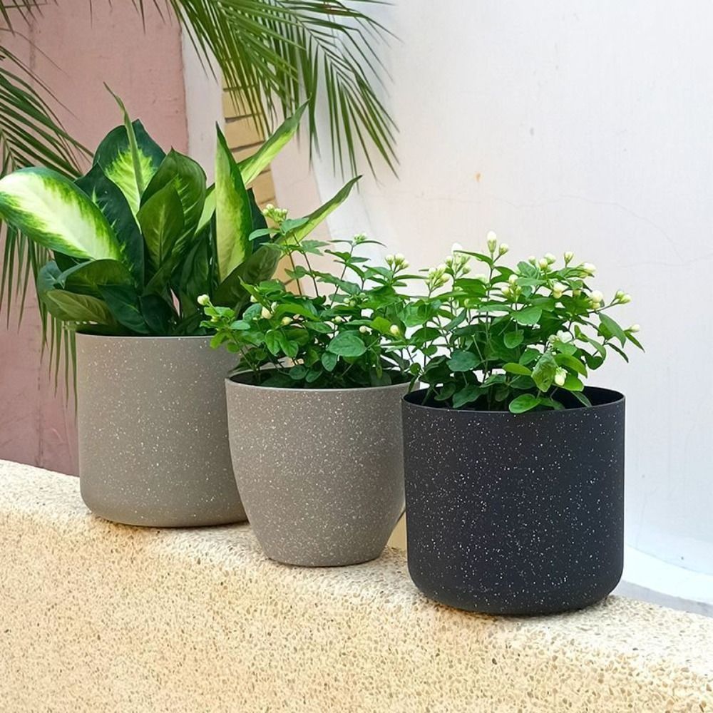 Frosted Imitation Stone Flower - Aloe Vera Pot 评论和价格