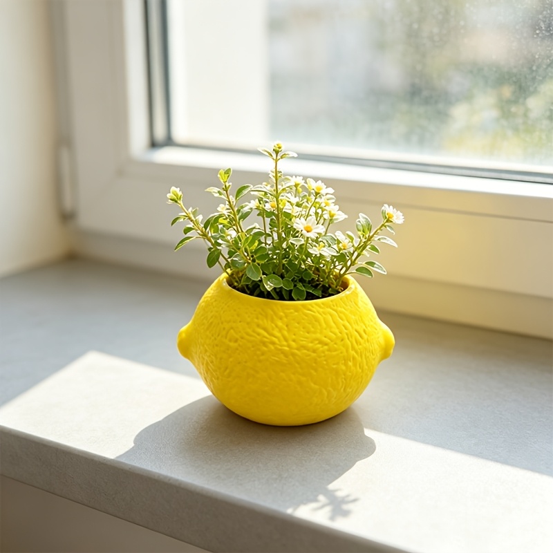 Lemon Shape Decorative Planter - Echeveria Succulent 评论和价格