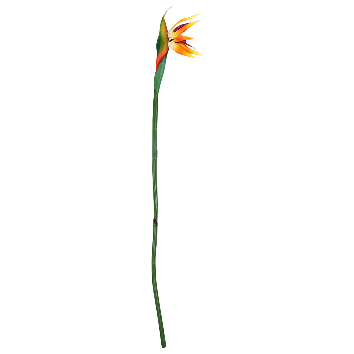 Artificial Strelitzia Flower R - Bird Paradise Strelitzia 评论和价格