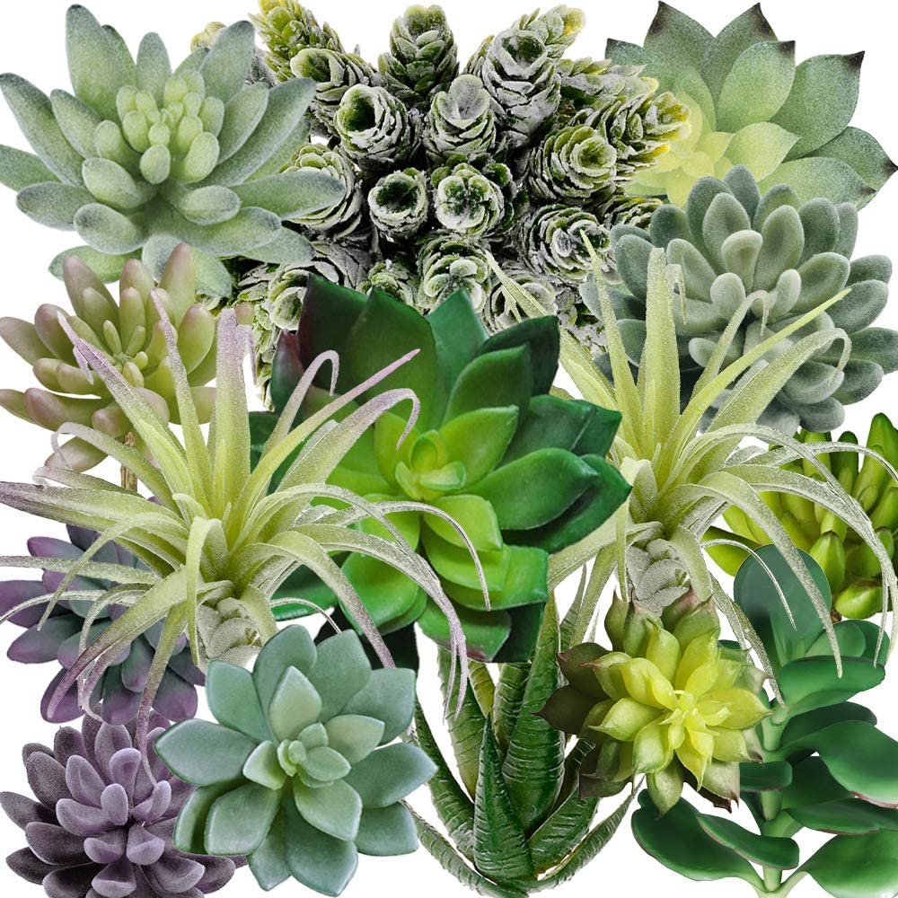 15 Pack Assorted Artificial Su - Echeveria Succulent 评论和价格