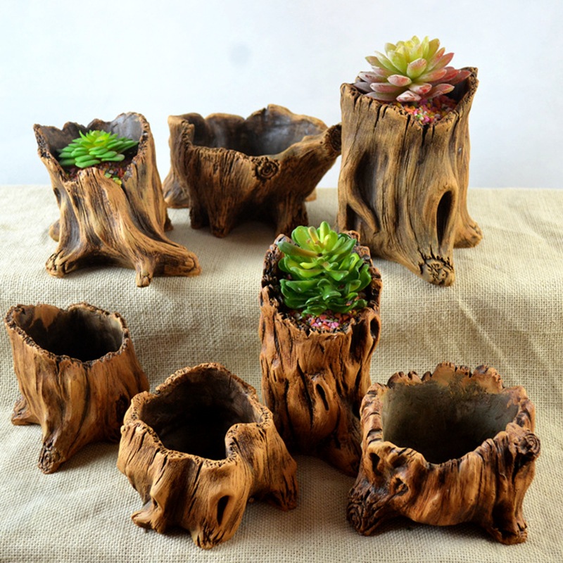 Imitation Wooden Stakes Tree R - Echeveria Succulent 评论和价格