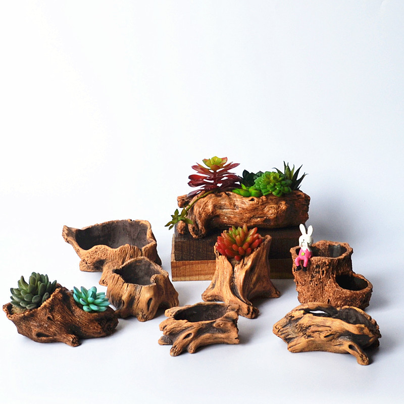Imitation Wooden Stakes Tree R - Echeveria Succulent 评论和价格
