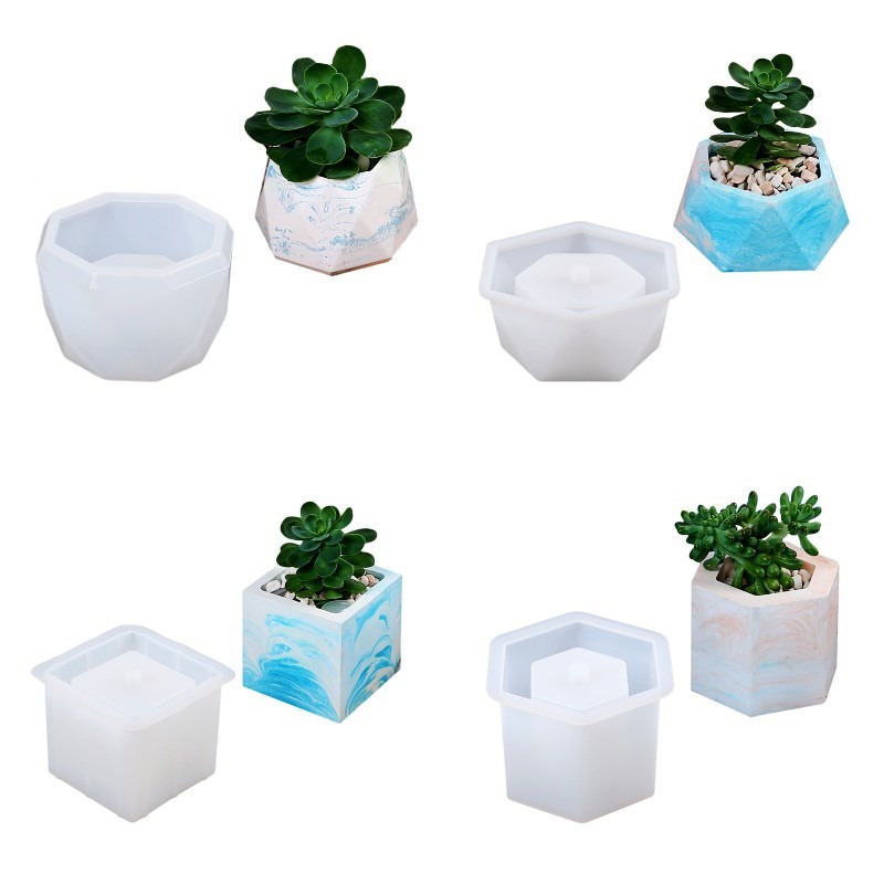 Succulent Flowerpot Silicone M - Echeveria Succulent 评论和价格