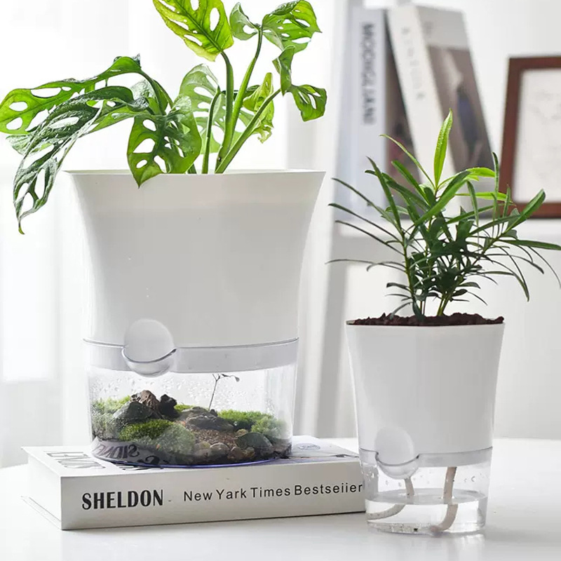Transparent Plastic Self Water - Aloe Vera Pot 评论和价格