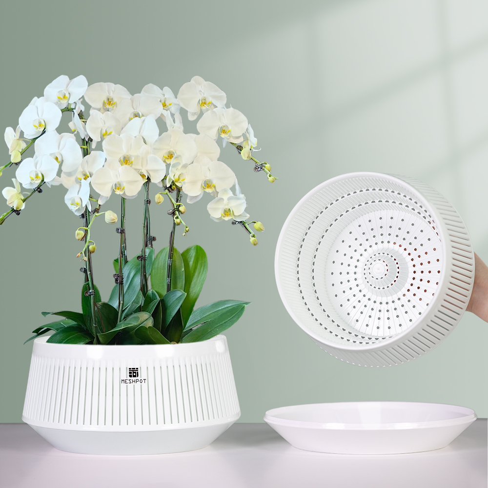 Meshpot Orchid Pot with Holes  - Aloe Vera Pot 评论和价格
