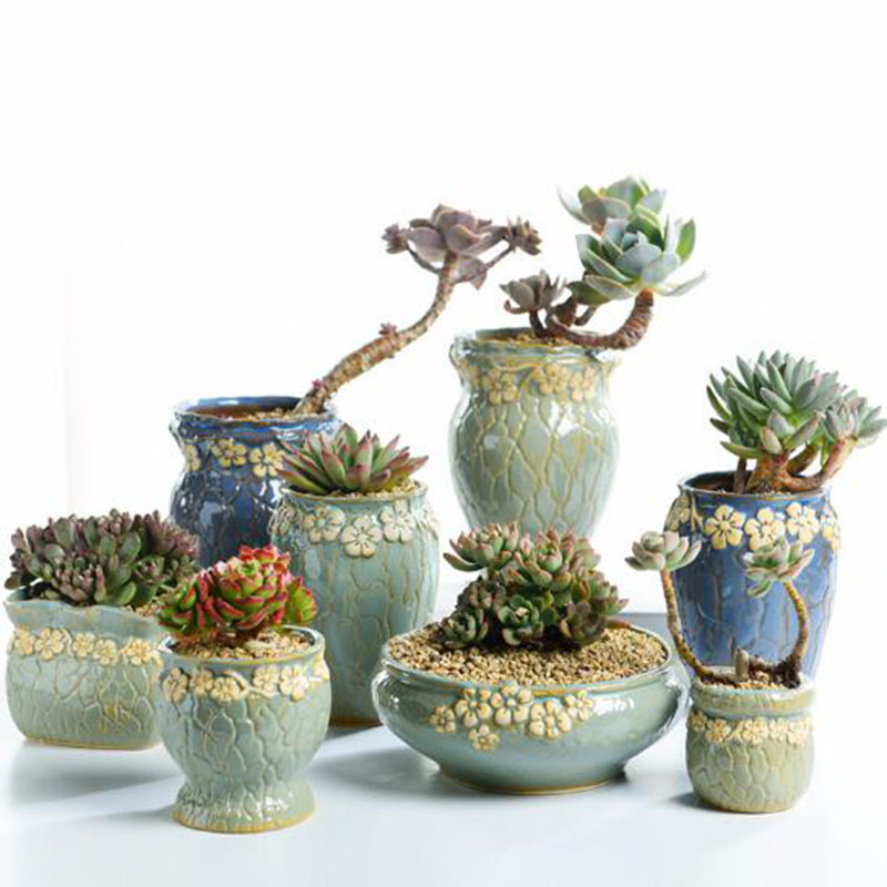 Succulent Plants Flowerpot Sma - Echeveria Succulent 评论和价格