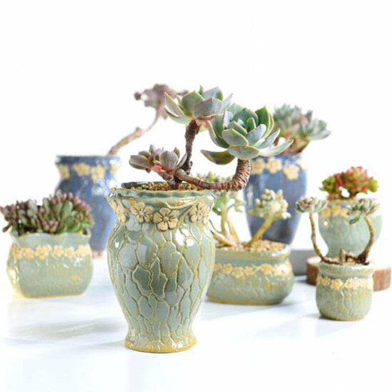 Succulent Plants Flowerpot Sma - Echeveria Succulent 评论和价格