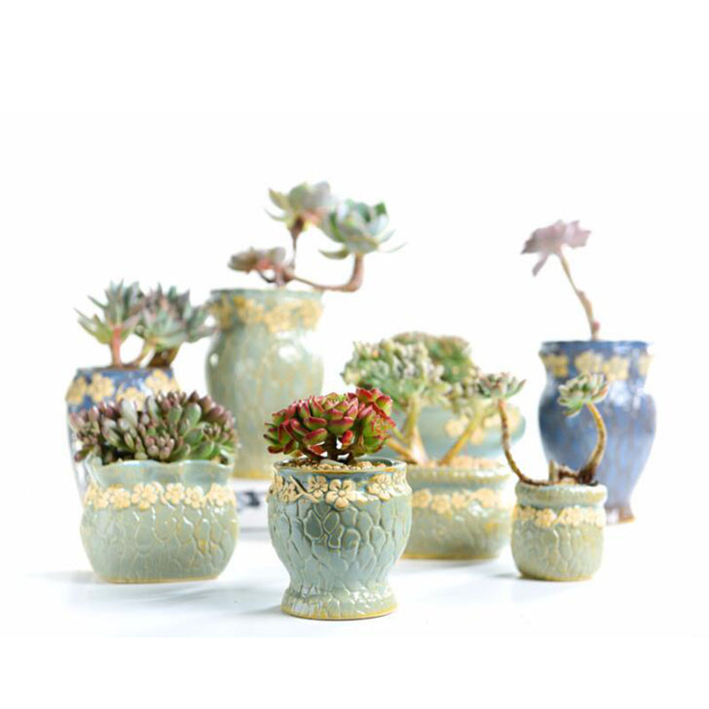 Succulent Plants Flowerpot Sma - Echeveria Succulent 评论和价格