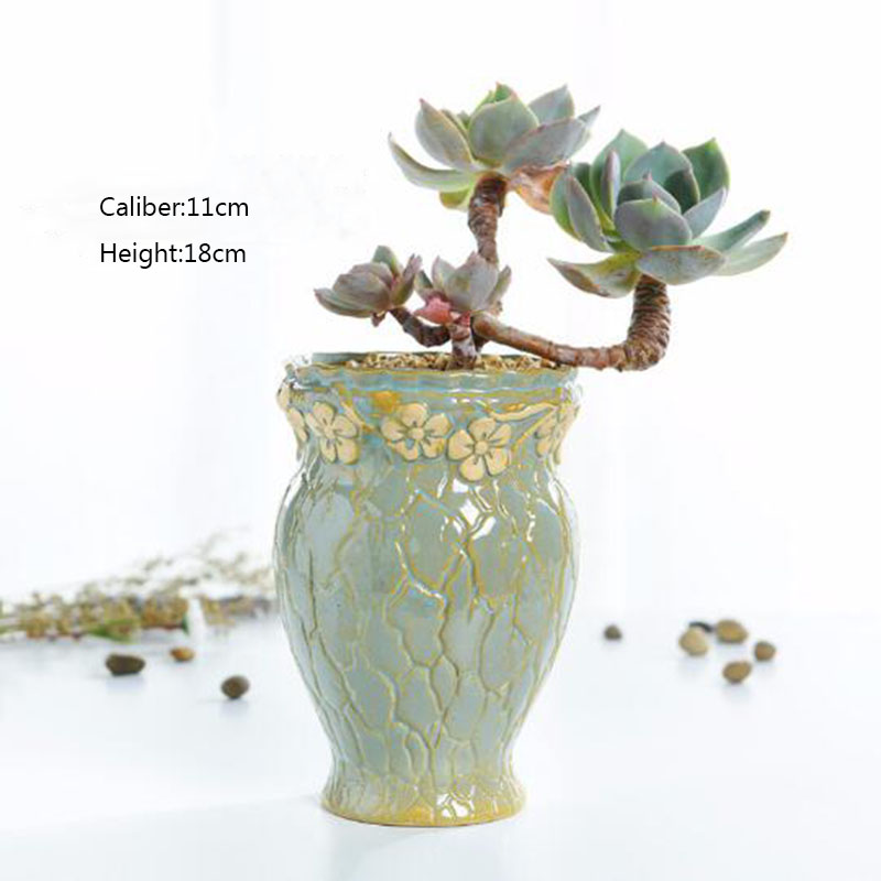 Succulent Plants Flowerpot Sma - Echeveria Succulent 评论和价格