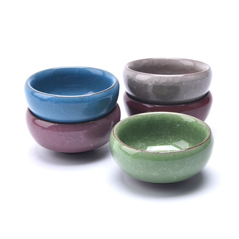 Cute Ice-Crack Glaze Flower Ce - Echeveria Succulent 评论和价格